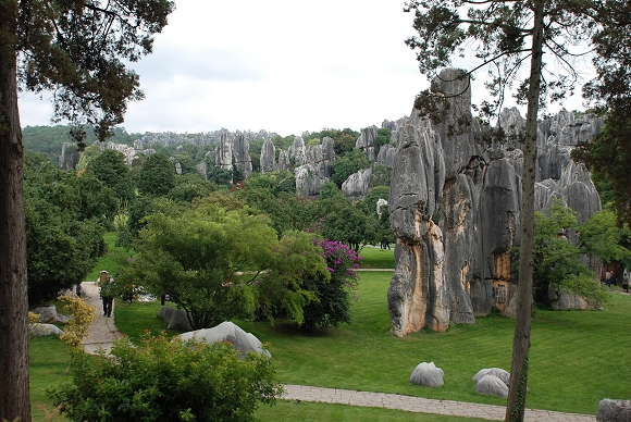 Steinwald Shilin mit Karstlandschaft
