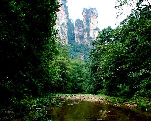 Jinbianxi, Bach der Goldpeitsche in Zhangjiajie Jinbianxi, Bach der Goldpeitsche in Zhangjiajie