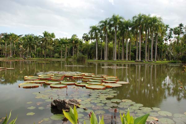 Botanischer Garten in Xishuangbanna
